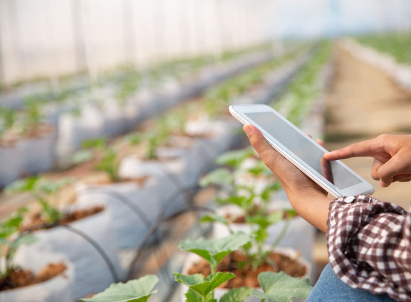 domotica-huerto-almaelectricidad